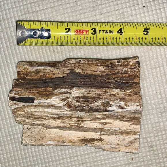 Petrified Wood Chunk almost 2 pounds! - Picture 4 of 8